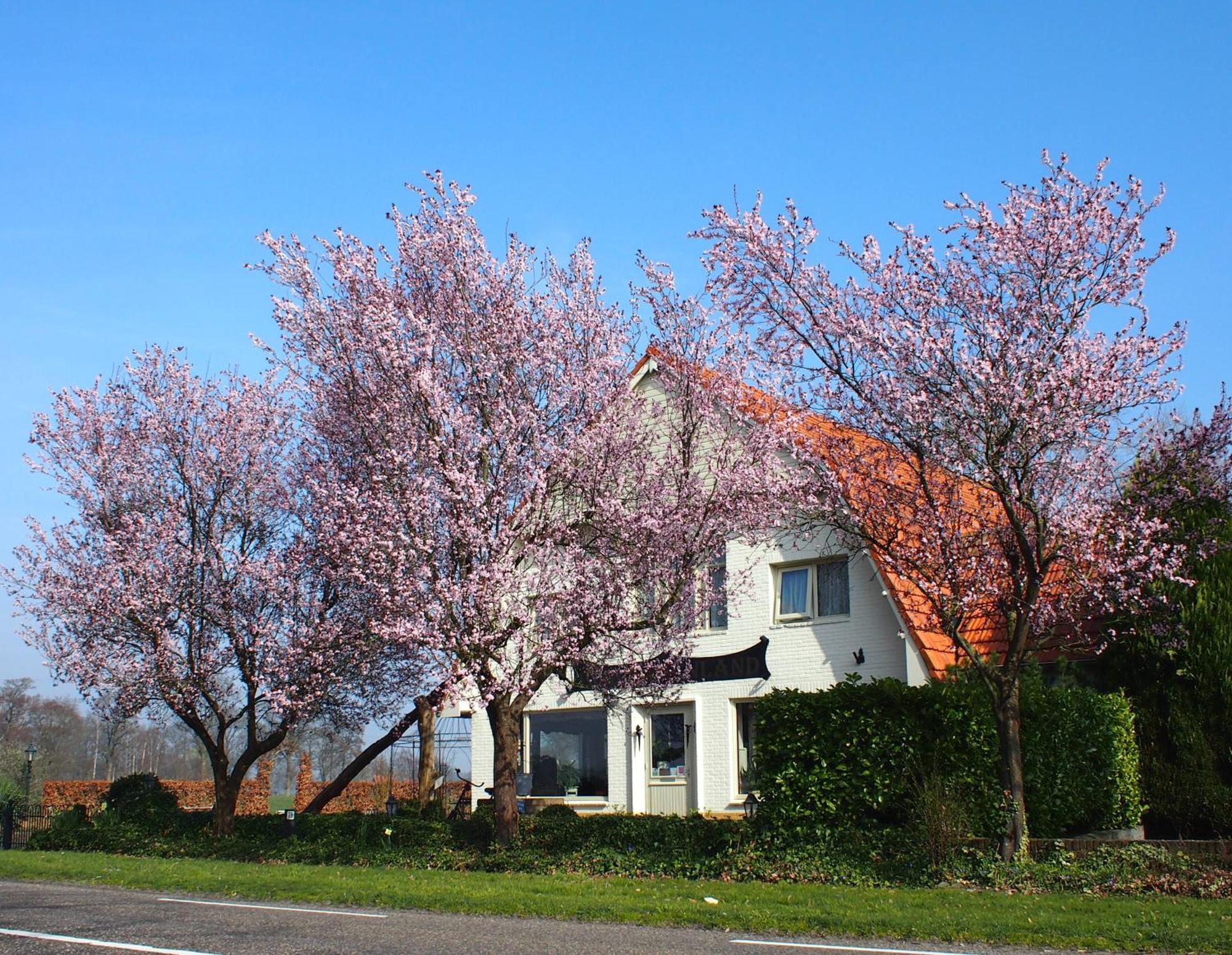 B&B Sagenland Harbrinkhoek Exterior foto